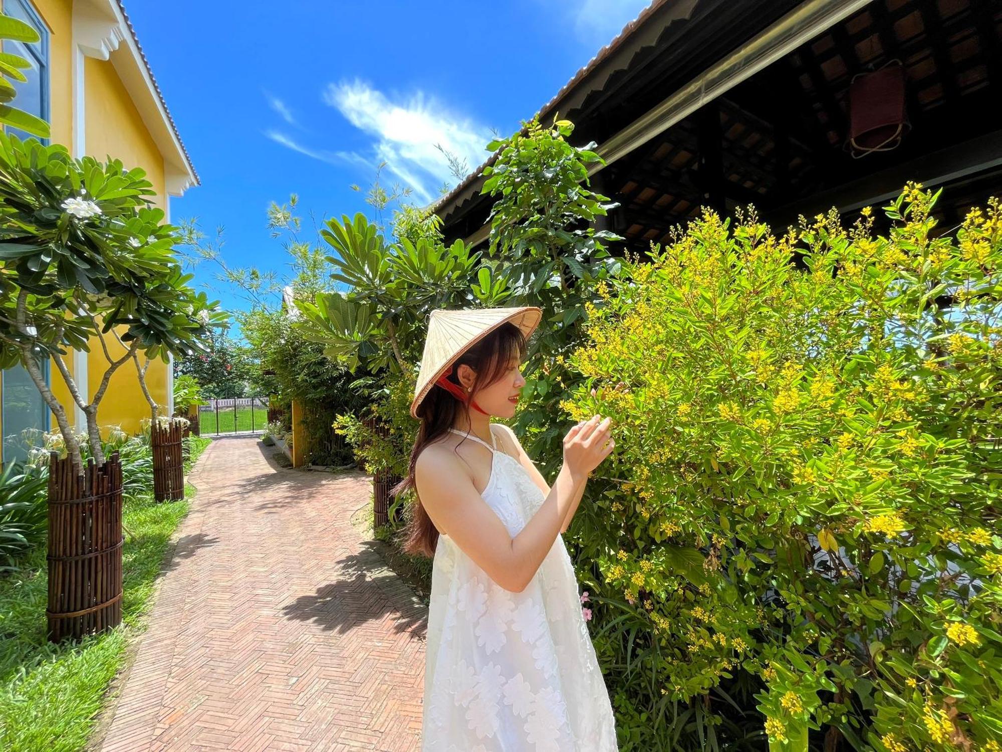 Chez Mimosa Hoi An - Rice Field - New Address Dx18, Thanh Nhut, Cam Thanh Exterior photo